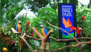 bali bird park