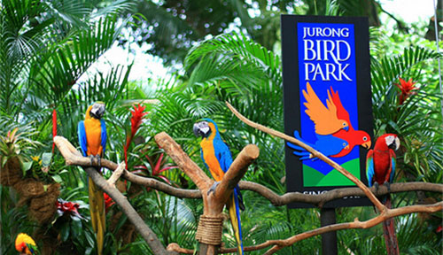 bali bird park