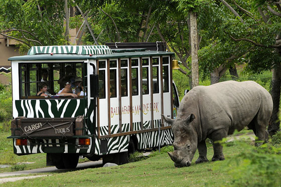 bali safari and marine park