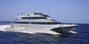 quicksilver cruise