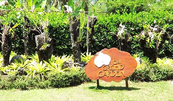 bali orchid garden sanur