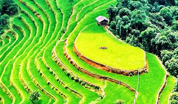 jatiluwih tabanan bali