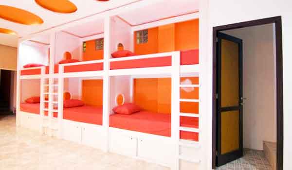 papaya backpackers bali