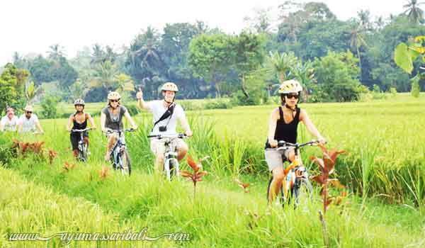 aktivitas bersepeda di ubud