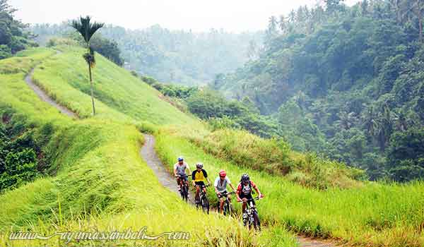 aktivitas wisata alam di bali