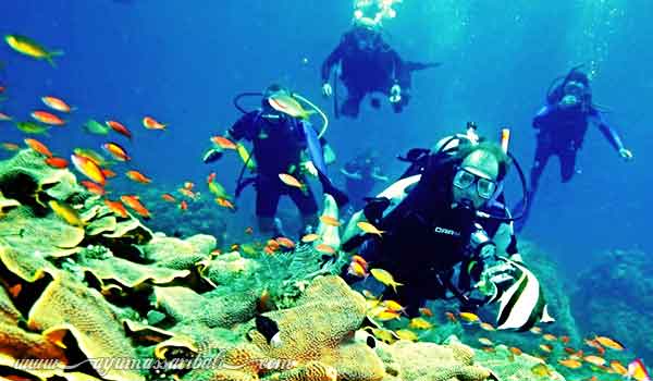 bali introductory scuba diving