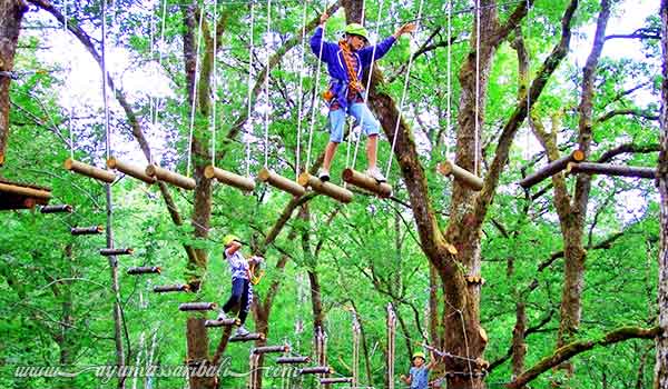 bali treetop adventure park bedugul