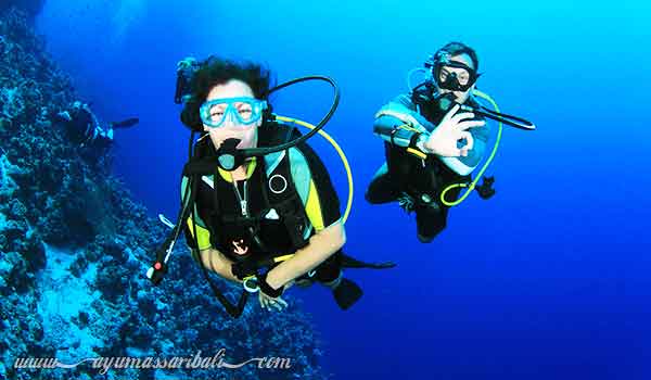 intro scuba dive tanjung benoa bali