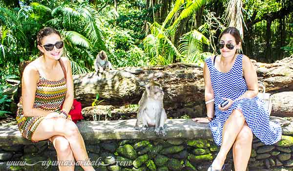 melihat monyet di monkey forest ubud