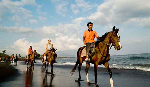 naik kuda di bali