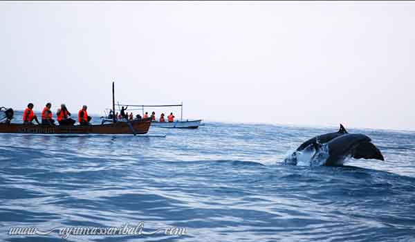 pariwisata di bali utara