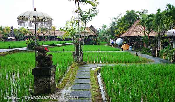 restoran bebek tepi sawah ubud