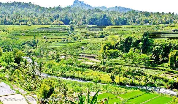 rute rafting terpanjang di bali