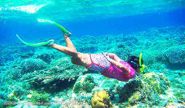 snorkeling pulau menjangan bali