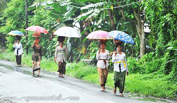 waktu terbaik liburan ke bali